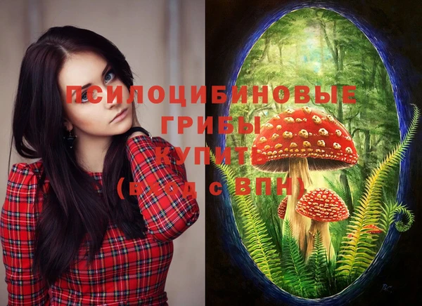 амф Белая Холуница