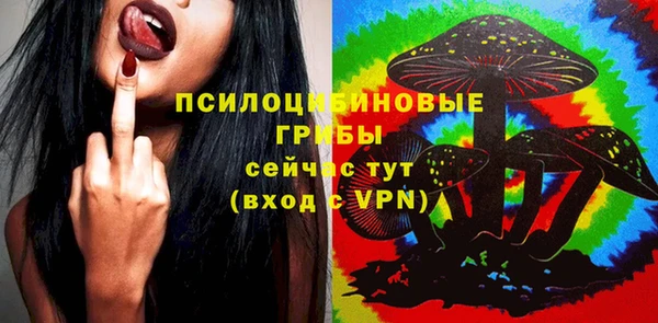 не бодяженный Бежецк