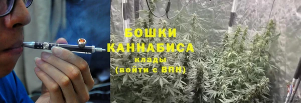тгк Анива