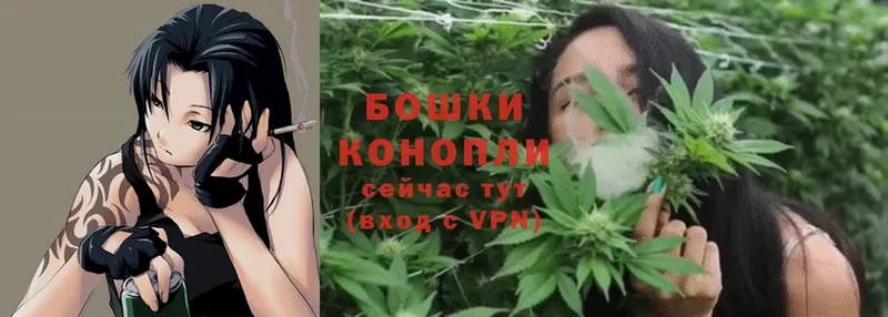 Конопля Ganja  Каргат 