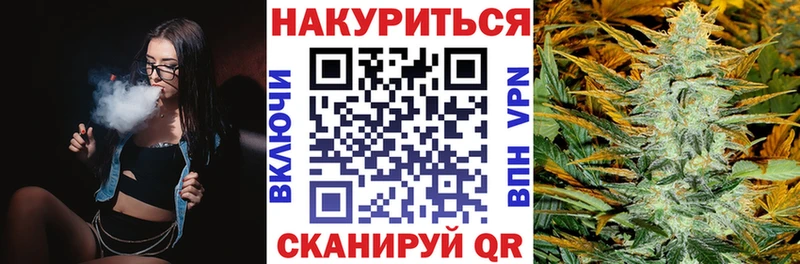 Бошки Шишки ГИДРОПОН Каргат